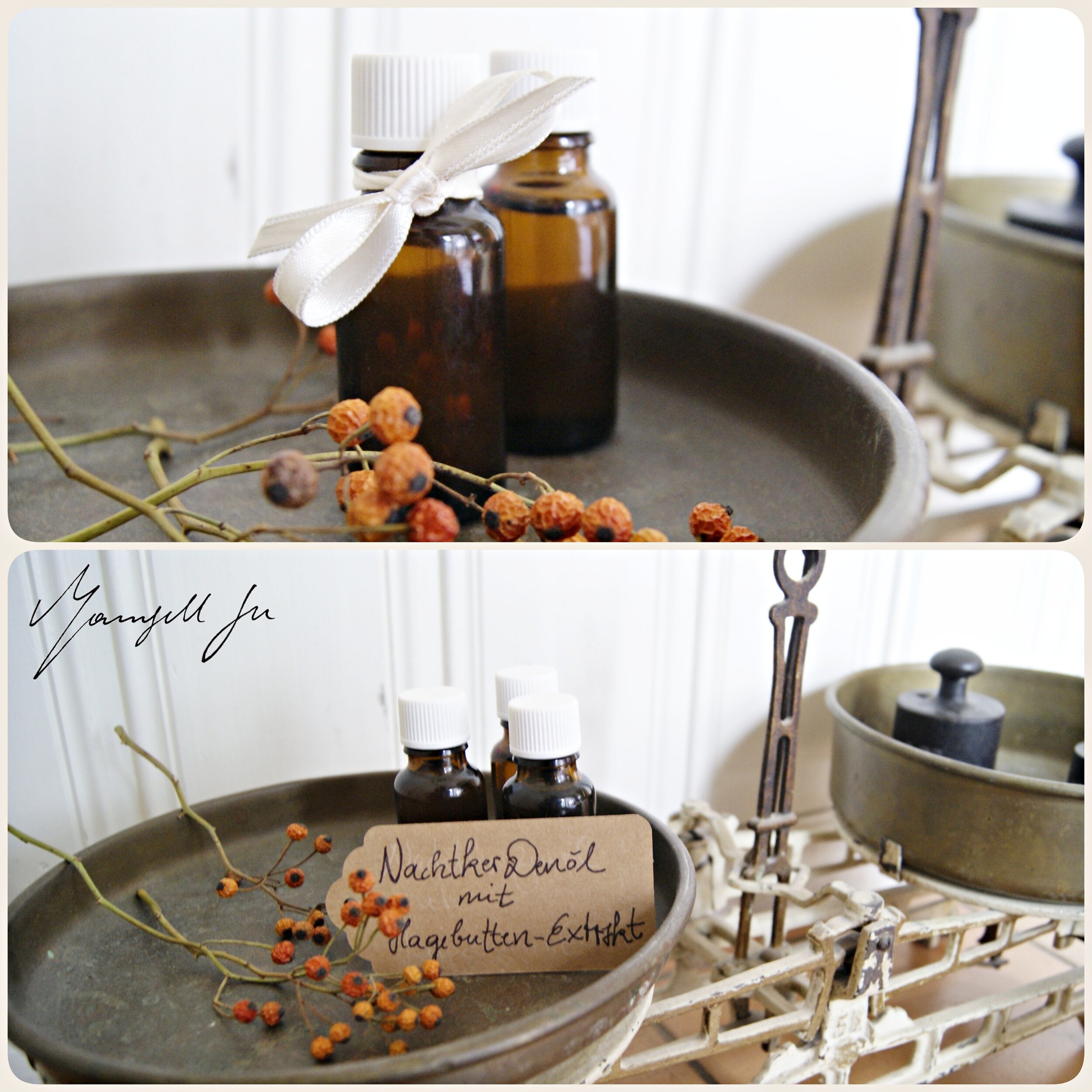 DIY Hagebuttenpflegeöl, Geschenkidee, Hagebuttenöl selber herstellen, natürliches Hagebuttenöl, Hagebutte Rezept, Anleitung, Rose hip care oil, recipe, rosehip oil recipe, Hagebuttenöl, 