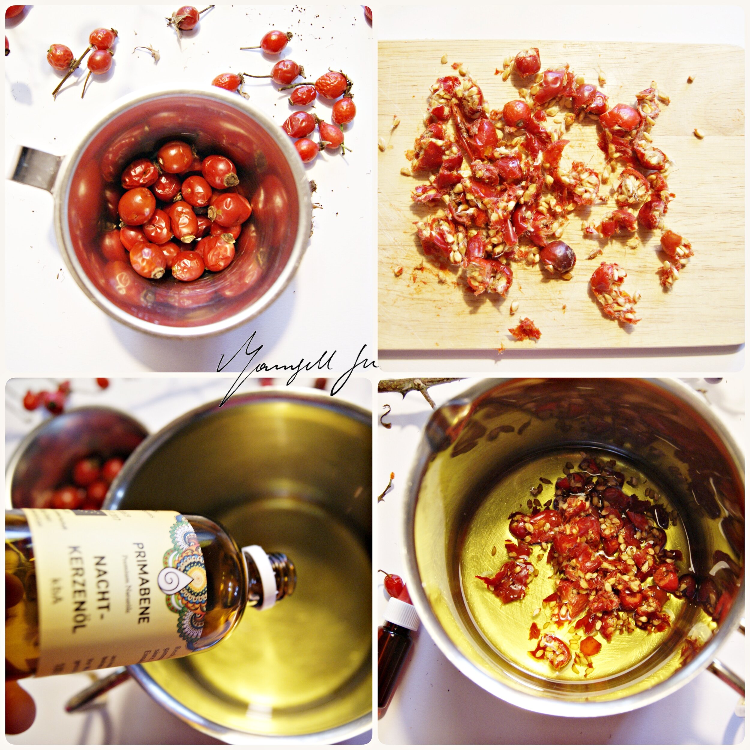 DIY Hagebuttenpflegeöl, Geschenkidee, Hagebuttenöl selber herstellen, natürliches Hagebuttenöl, Hagebutte Rezept, Anleitung, Rose hip care oil, recipe, rosehip oil recipe, Hagebuttenöl, 