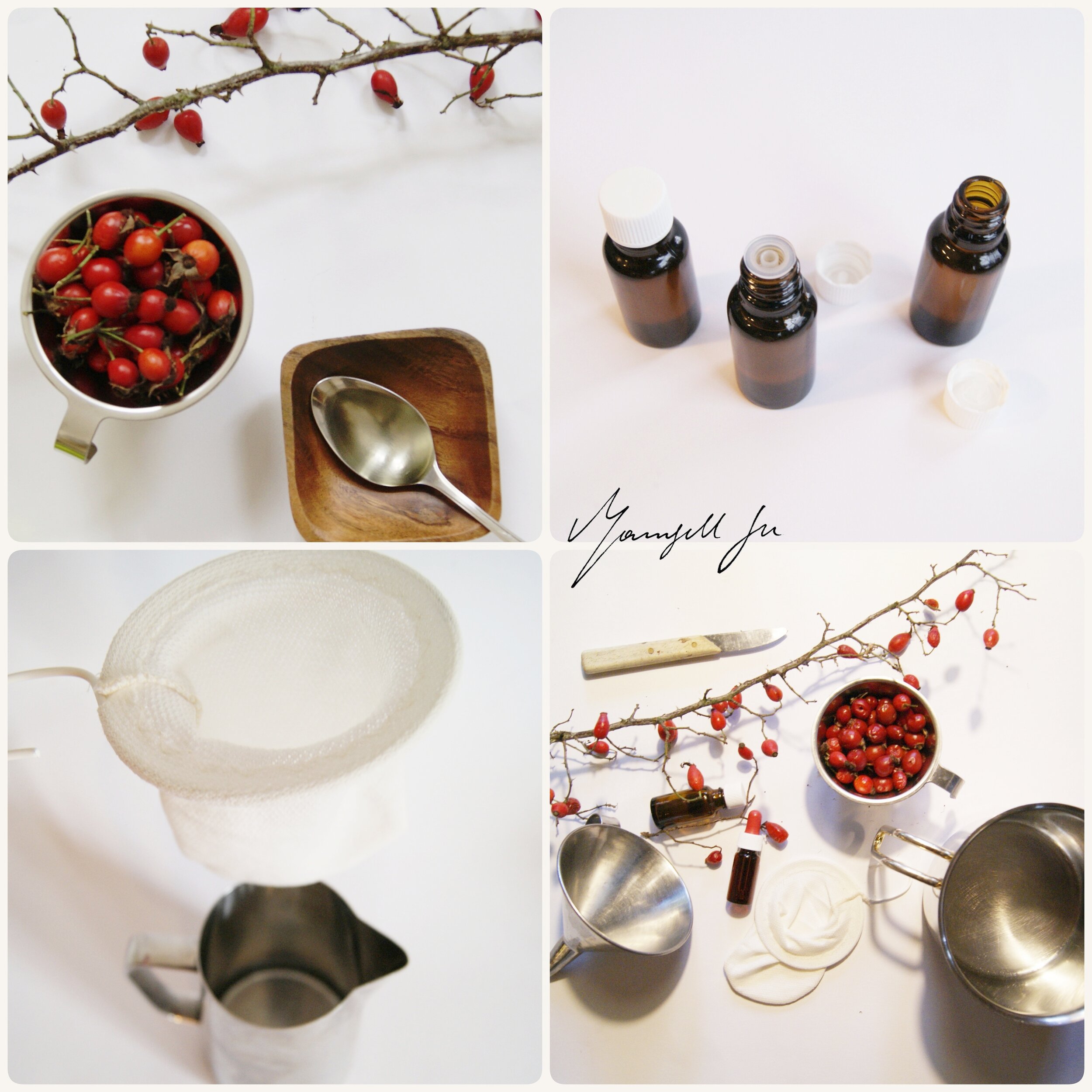 DIY Hagebuttenpflegeöl, Geschenkidee, Hagebuttenöl selber herstellen, natürliches Hagebuttenöl, Hagebutte Rezept, Anleitung, Rose hip care oil, recipe, rosehip oil recipe, Hagebuttenöl, 