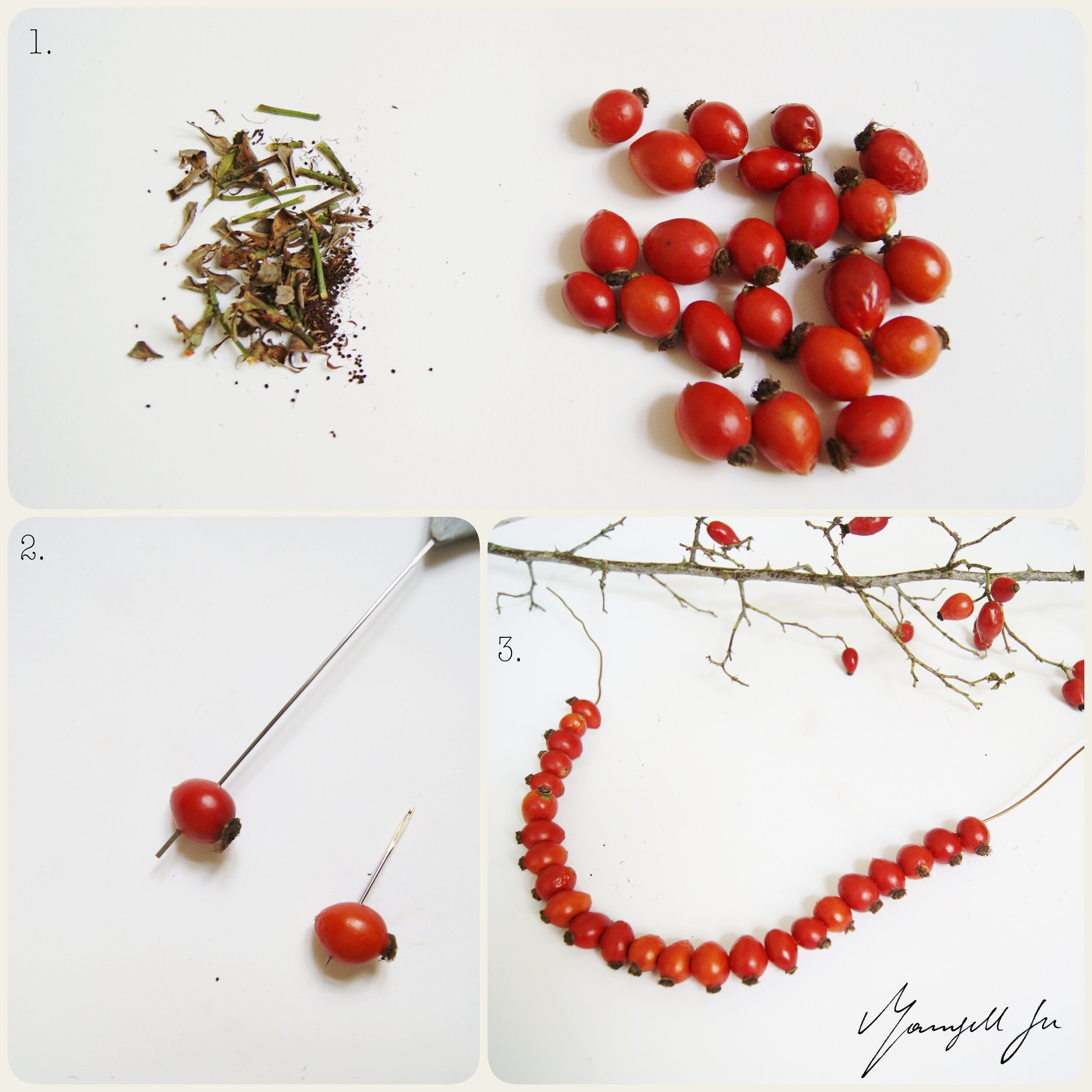 Ein Herz aus Hagebutten basteln, heart rosehip DIY, Herbst DIY, Basteln mit Kindern, Herz basteln, Hagebutten, Naturmaterialien, einfaches DIY, easy DIY, einfache Bastelidee, Herbst 