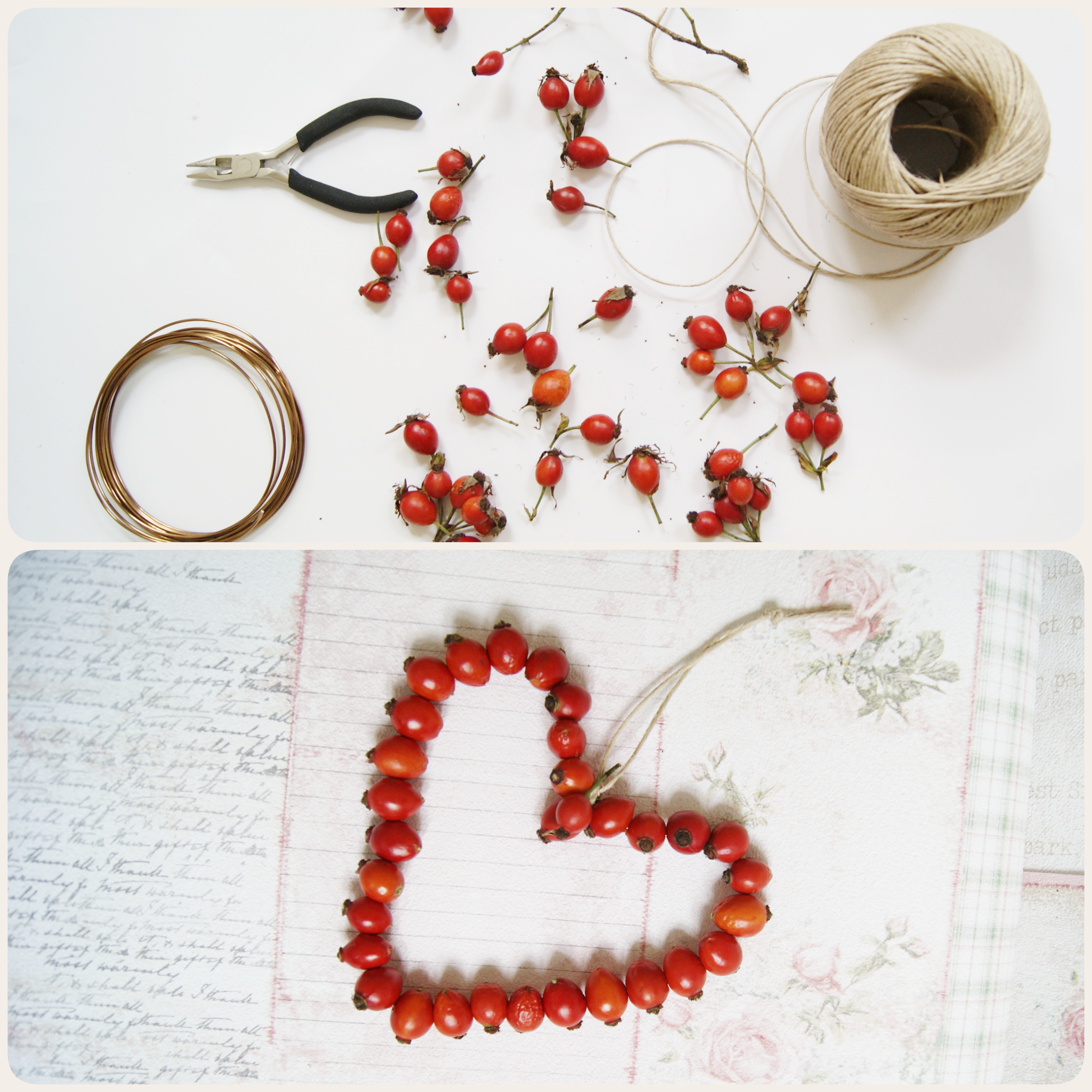 Ein Herz aus Hagebutten basteln, heart rosehip DIY, Herbst DIY, Basteln mit Kindern, Herz basteln, Hagebutten, Naturmaterialien, einfaches DIY, easy DIY, einfache Bastelidee, Herbst 