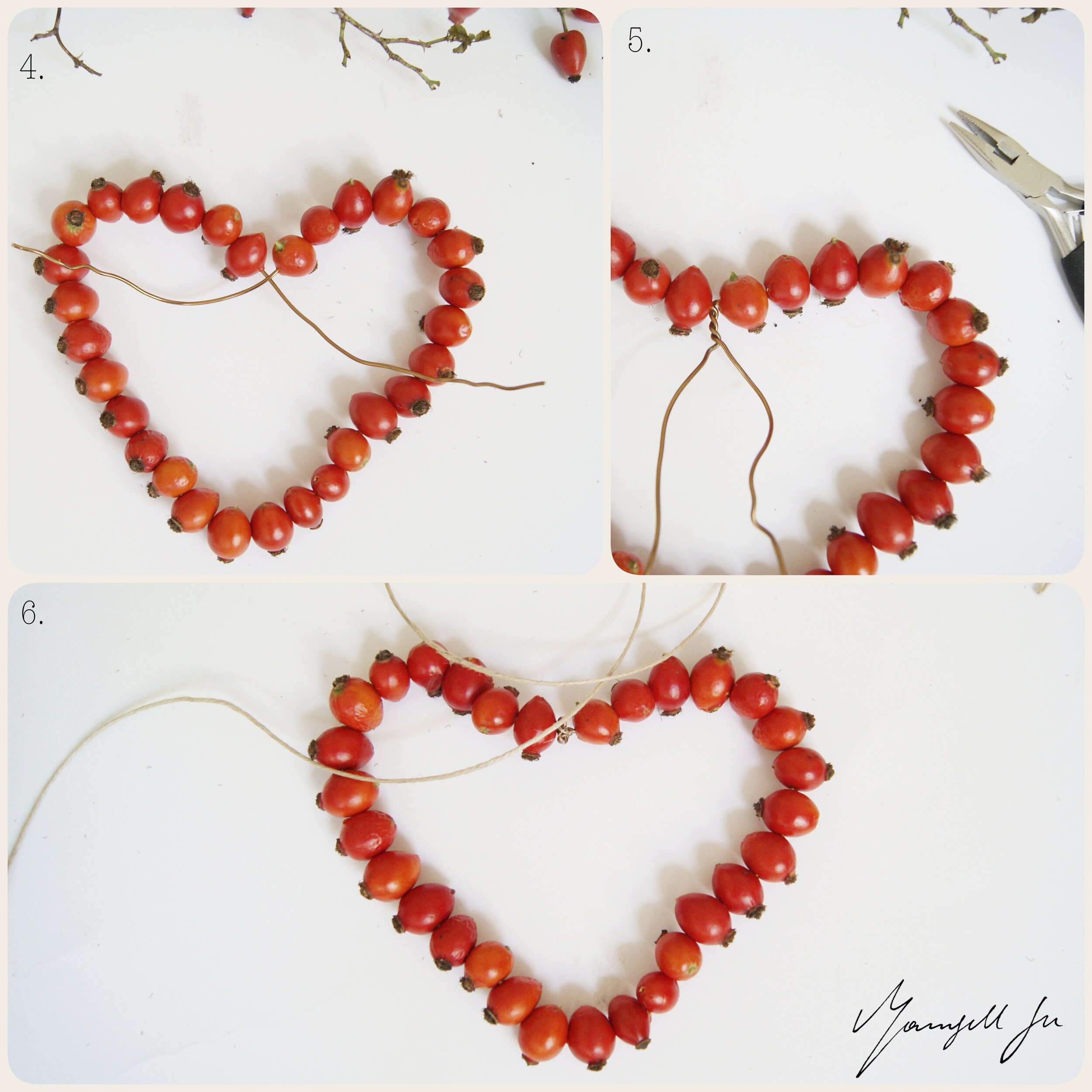 Ein Herz aus Hagebutten basteln, heart rosehip DIY, Herbst DIY, Basteln mit Kindern, Herz basteln, Hagebutten, Naturmaterialien, einfaches DIY, easy DIY, einfache Bastelidee, Herbst 