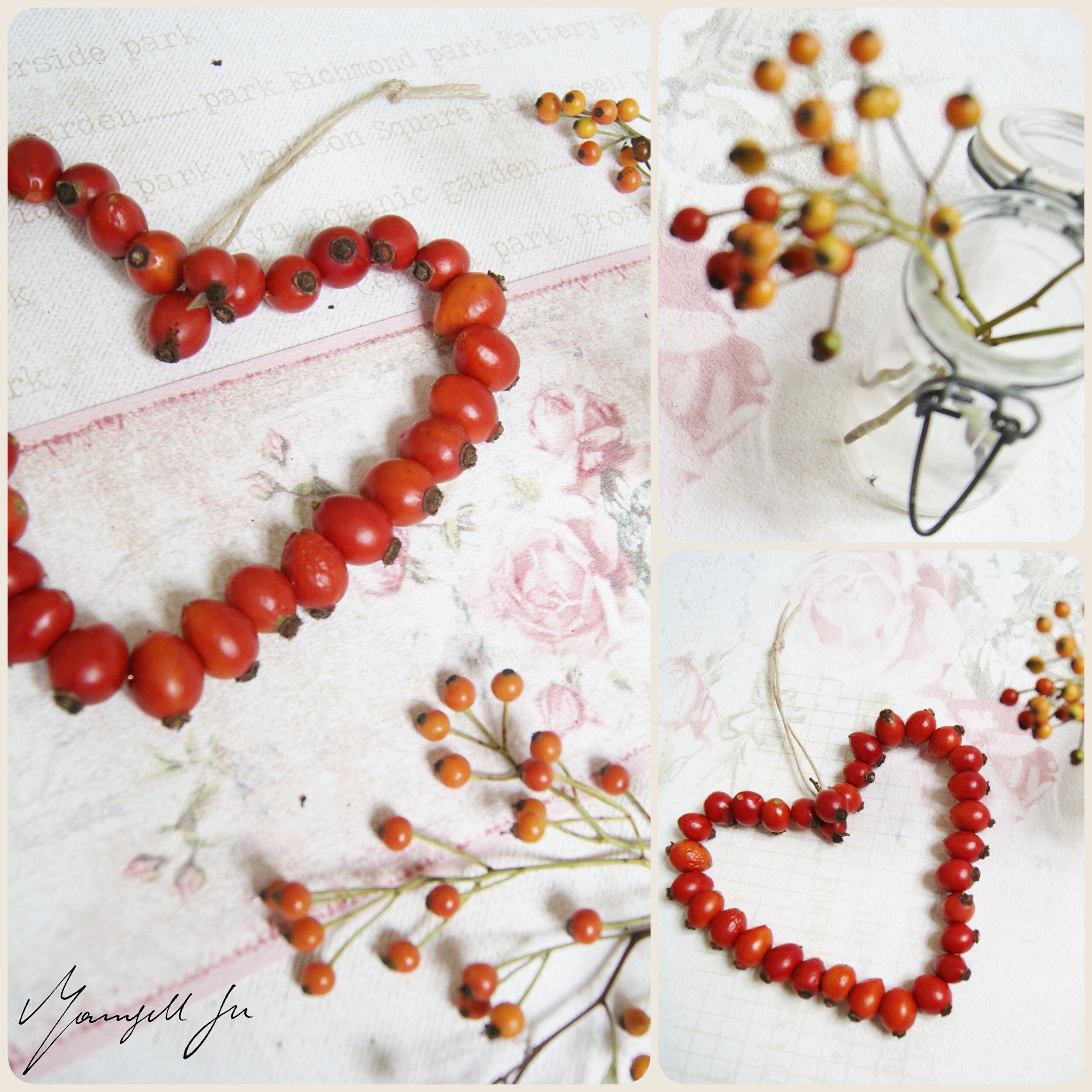 Ein Herz aus Hagebutten basteln, heart rosehip DIY, Herbst DIY, Basteln mit Kindern, Herz basteln, Hagebutten, Naturmaterialien, einfaches DIY, easy DIY, einfache Bastelidee, Herbst 