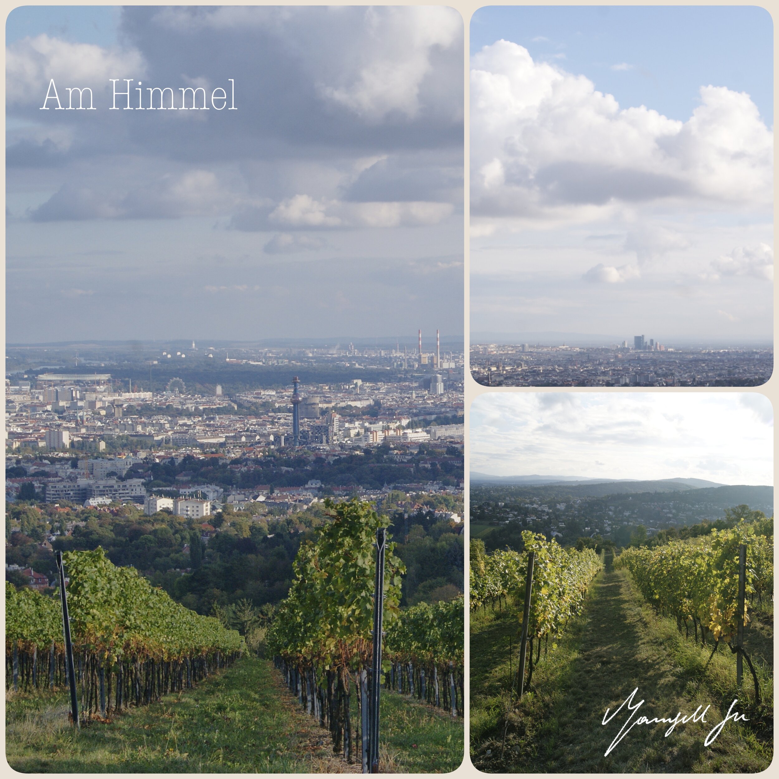 Aussicht Am Himmel Wien, Ausflug wien, Herbst, Weingärten, Skyline, Natur genießen in Wien, Ausflug mit Kinder, Wien